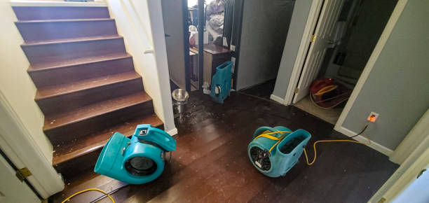 Best Water damage restoration near me  in Beggs, OK