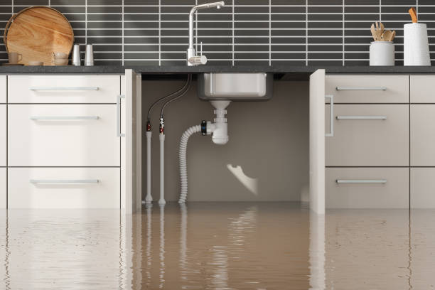 Best Flood restoration services  in Beggs, OK