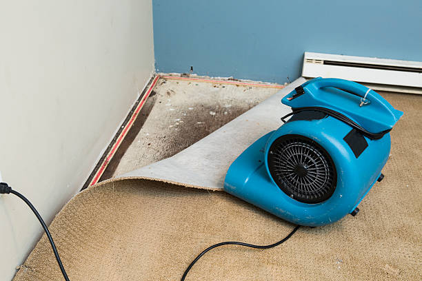 Best Flooded house restoration  in Beggs, OK